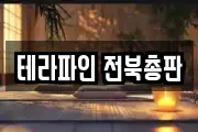 테라파인 전북총판