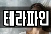 테라파인