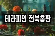테라파인 전북총판