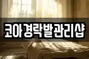 코아경락발관리샵