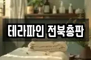 테라파인 전북총판