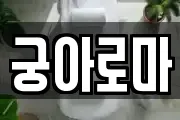 궁아로마