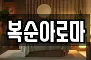 복순아로마