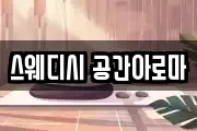 스웨디시 공간아로마