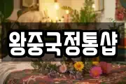 왕중국정통샵