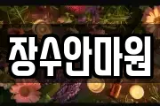 장수안마원