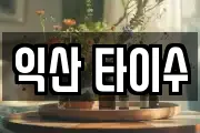 익산 타이수