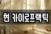 현 카이로프랙틱