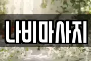 나비마사지