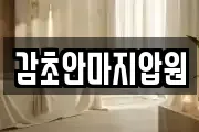 감초안마지압원