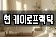 현 카이로프랙틱