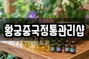 황궁중국정통관리샵