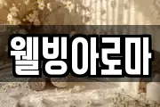 웰빙아로마