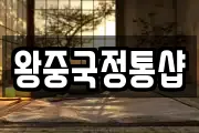 왕중국정통샵