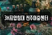 3H지압침대 전주아중센터