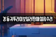 경동귀뚜라미보일러판매설치수리