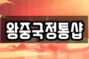 왕중국정통샵