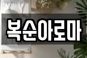 복순아로마