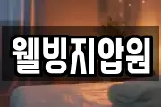 웰빙지압원
