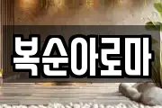 복순아로마