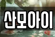 전북 전주시 덕진구 장동 마사지, 지압등 업체정보