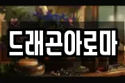 드래곤아로마