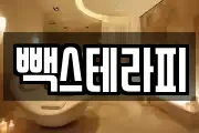 빽스테라피