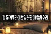 경동귀뚜라미보일러판매설치수리
