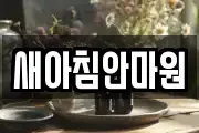 새아침안마원