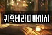전북 전주시 완산구 마사지, 지압등 업체정보