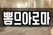 뽐므아로마