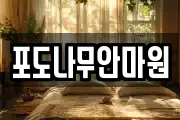 포도나무안마원