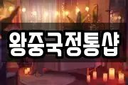 왕중국정통샵