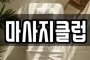 전북 전주시 완산구 서노송동 마사지, 지압등 업체정보