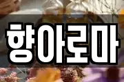 향아로마