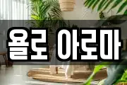 욜로 아로마