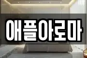 애플아로마