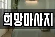 전북 전주시 완산구 중앙동3가 마사지, 지압등 업체정보