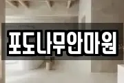 포도나무안마원