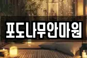 포도나무안마원