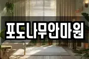 포도나무안마원