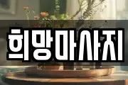 전북 전주시 완산구 풍남동2가 마사지, 지압등 업체정보