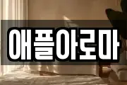 애플아로마