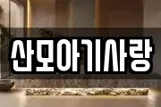 산모아기사랑