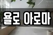 욜로 아로마