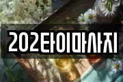 202타이마사지