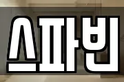 스파빈