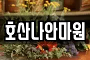 호산나안마원