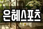 은혜스포츠