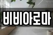 비비아로마